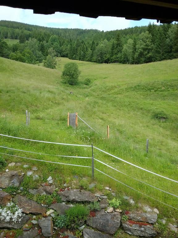 Almwiese Apartment Stadl an der Mur 外观 照片